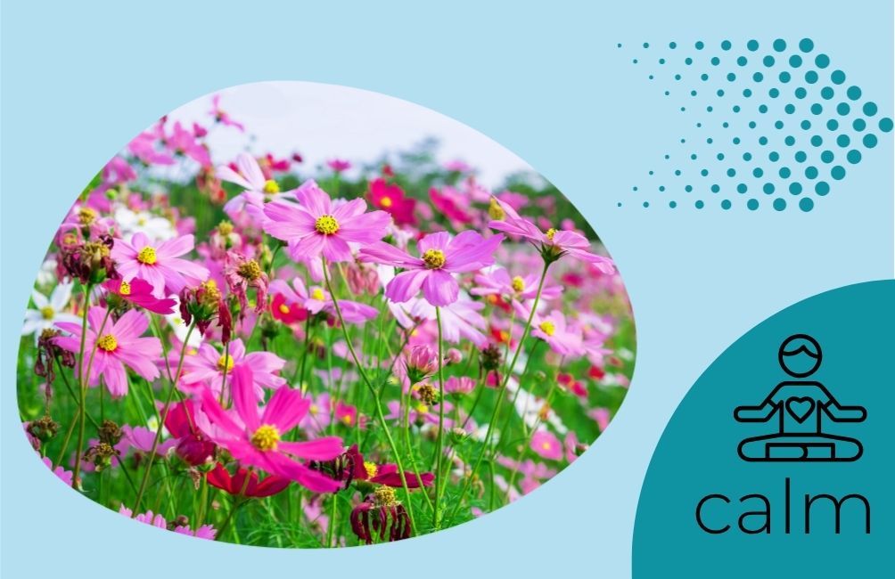 Infographic states calm with animated picture of person sitting with a heart on their chest area. Picture of an arrow. Picture of flowers.